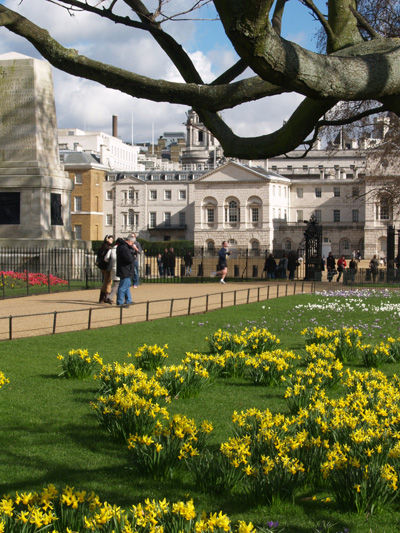 Horseguards parade in March